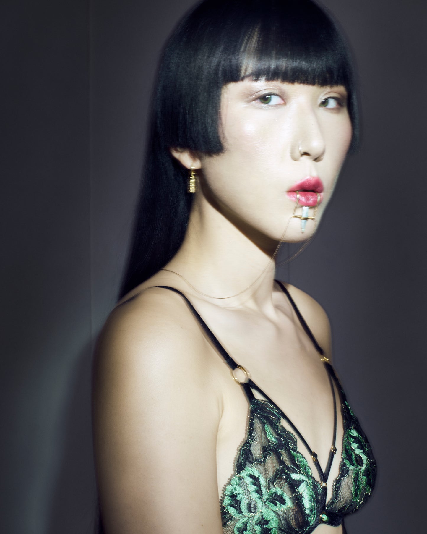 Swing Lip Clip