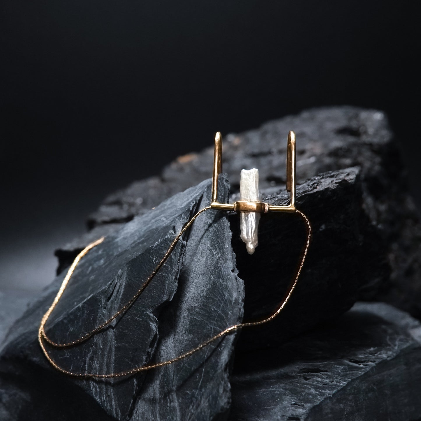 Swing Lip Clip