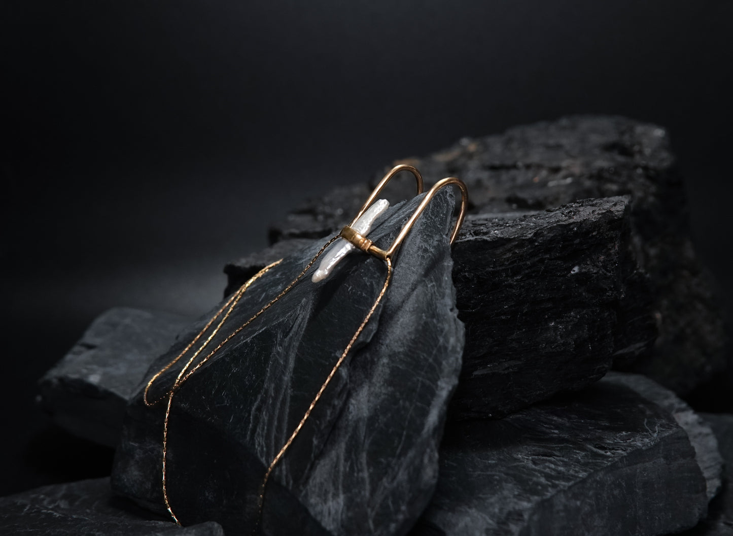 Swing Lip Clip